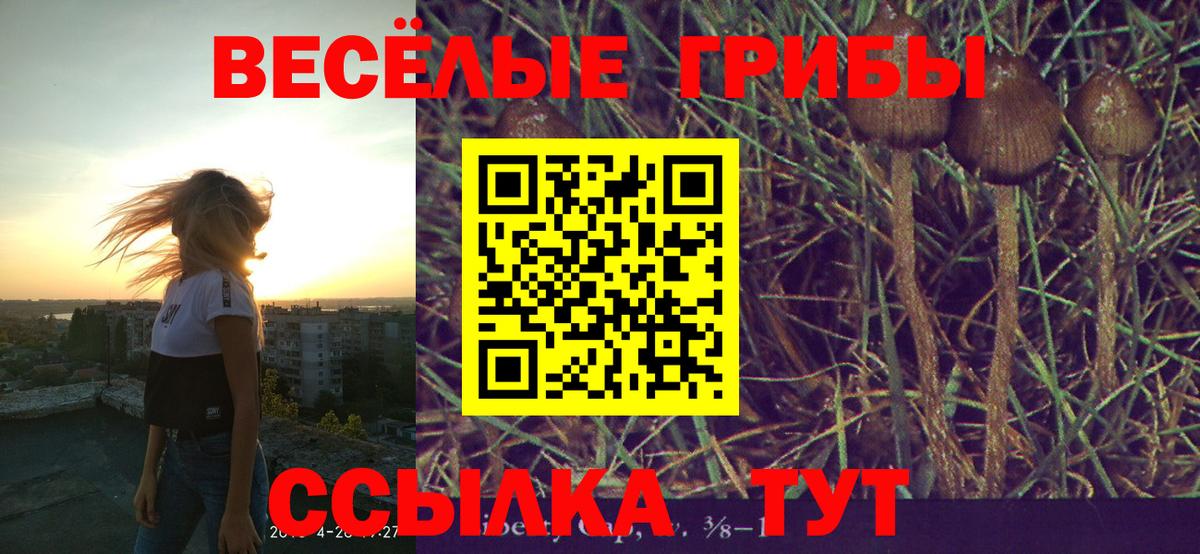 Псилоцибиновые грибы Psilocybe  Вход с VPN  Галлюциногенные грибы Psilocybine cubensis  Людиново 